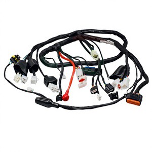 Custom Automotive Wire Harness-RoHS for Tinned Copper Conductor 600V Rated PTFE/PVC/Nylon for Car Motorcycle Applications