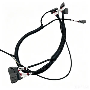 Custom OEM Industrial Automotive Electrical Wire Harness Manufacturing