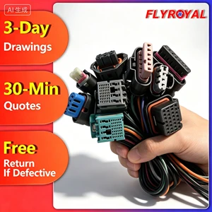 Custom Automotive Waterproof Wire Harness TE AMP Molex Connector Assembly 2-30Pin IP67 Car Sensor ECU Cable for EV Engine