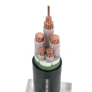 YJV-0.6/1kv LV IEC 60502-1 NA2XY 0.6/1kV Fire Retardant PVC Insulated Power Cable for Industrial Use and Construction