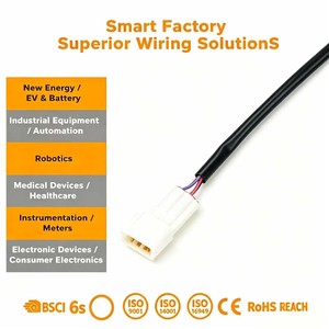 CUstomized Electrical Wiring Loom Custom Length Connector Cable Harness For New Energy EV Battery Instrument Consumer Electronic