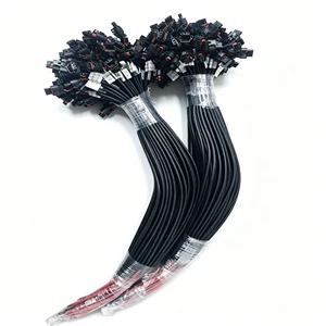 Durable OE Standard Customized Electrical Connector Assembly Car Minibus Lorry Truck Van Coach Pickup Bus Car Wiring Harness