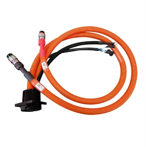 High voltage wire harness for car/automotive battery and new energy electric cars
