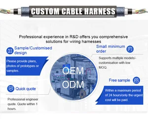 Factory Manufacturing Custom Wiring Harness E00106 Auto Electrical Cables Wire Harness Assembly