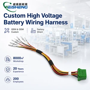 Custom Waterproof Connector Harness Battery Power Cable Assembly OEM ODM
