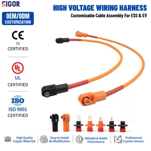 Custom High Voltage PV Energy Storage Wiring Harness for Solar Battery Pack and Computer Applications with PVC Insulation