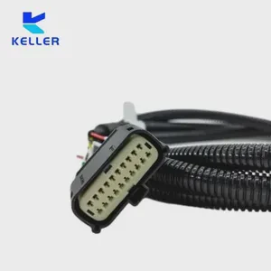 High Temperature Resistant Customized CE Certified IP67 Sealed Plug Automotive Signal Wiring Harness for Motor New