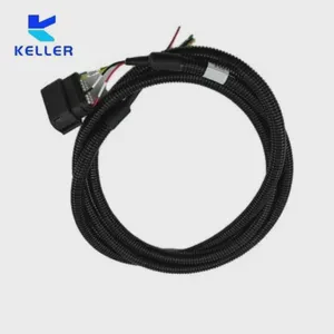 High Temperature Resistant Customized Cable Assembly Connecting Wire Hv Automotive Signal Wiring Harness for Auto