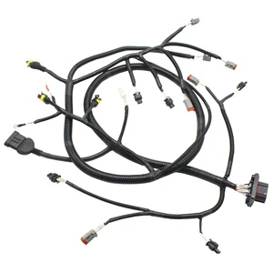 OEM/ODM 32POS 32Pins 1000mm 6188-6248 Reserved Dual System Wire Harness Wiring Harness for EV