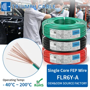 FLR6Y-A FEP Insulated High Temperature Resistant 200℃ 60V Single Core Automotive Wire for Vehicle Wiring Harness