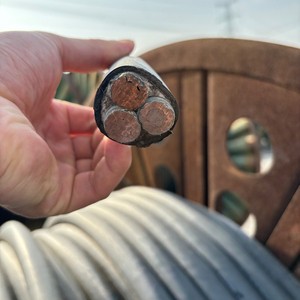 WDZN-YJY Low Smoke Halogen-free Copper Core Power Cable XLPE Insulation LSZH Sheath High Rise Buildings and Public Facilities