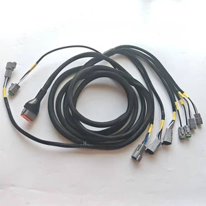 Harness Manufacturers DT04 DT12 Braided PVC/PTFE/Rubber Insulation 12V Wiring Harness for Automobile