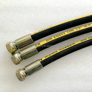 DIN 20022 EN 853 2SN Hydraulic Rubber Hose Hydraulic Oil Resistant Special Synthetic Rubber High Tensile Steel Wire Braided
