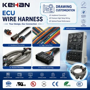 Custom ECU Wire Harness With Amphenol Cables Connectors Premium Wiring For Optimal Performance