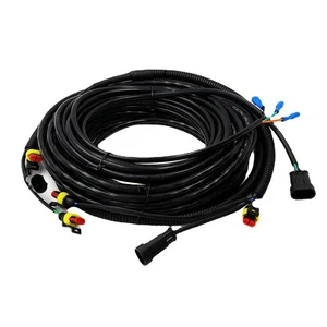 Factory Manufacture Auto Engine Connection Cable Whole Car Big Wiring Harness Custom AMP Auto