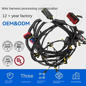 Dongguan Automotive Wiring Harness for Car Cleaning Vehicle Special Vehicle Snow Sweeper-Custom High/Low Voltage Assembly