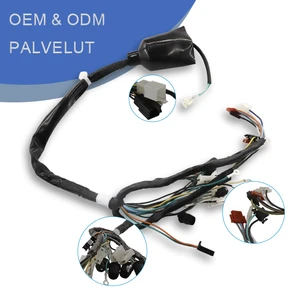 Wiring Harness OEM ODM Car Automotive Interior Electrical Electronic Custom Main Wire Harness IP66 12V E00028 Cable Assembly