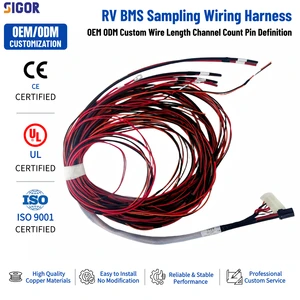 Custom Automotive Wiring Harness RV BMS Battery Sampling Cable PVC/PTFE/PBT IP66 Waterproof Connector for Camper Storage