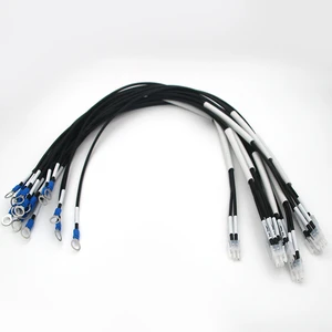 Customizes Various Mechanical and Electronic Wire Harnesses Integrated Control Wire Harnesses and Connector Wire Harnesses