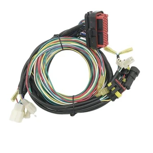OEM Automotive Engine Wiring Harness | Custom Complete Cable Assembly for Vehicle Manufacturers