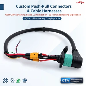 Customizable IP68 Waterproof 4Q216 Circular Bayonet Locking Aviation Device Medical Cable Harness For Industrial Aviation Plug