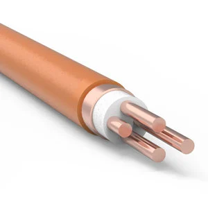 High-quality BTTZ Copper Rigid Fire-resistant Cable for Industrial & Construction Use 1 KV 40-50 a