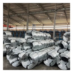 Large Stock 1mm-16mm DIA Q235/Q235B Electric Galvanized Steel Wire Rope With Cutting Bending Service