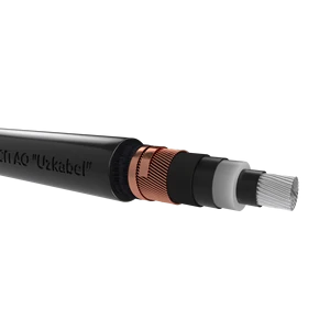 N2XS2Y Power Cable 1x95mm Cu XLPE PE 3.6/6kV Medium Voltage Cable For Energy Distribution Networks