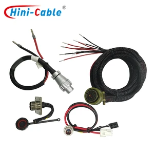 Professional Grade Premium Automotive Wire Harness Multiple Equipment Wiring Copper Conductor Sealed Cable Assemblies for Auto