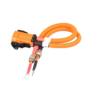 New Energy Wiring Harness Customization, High/low Voltage Wiring Harness, Automotive Wiring Production and Processing