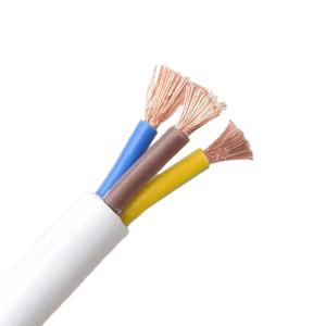PVC Sheathed Cable RVV