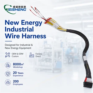 OEM Custom Wire Harness for Automotive Machinery Energy Storage Industrial Use