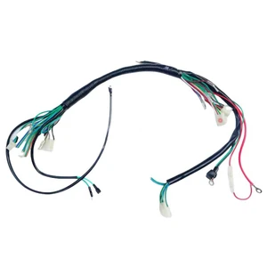 OEM ODM Customized Truck & Automobile Wiring Harness Assembly with PBT Insulation ISO9001 for Manufacturer