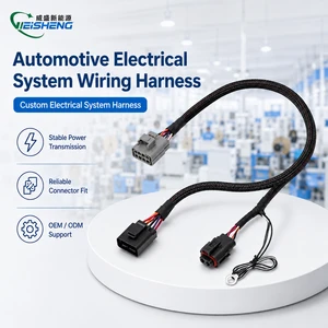 Custom Automotive Plug-and-Play Wiring Harness with Braided Sleeve & Control Module for Vehicle Electrical Upgrade