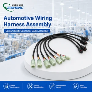Factory Custom Automotive Wire Harness Cables Assembly with 6V/12V/24V Rated Voltage OEM Accepted