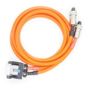 High Voltage Wire Harness PTC Automotive New Energy Vehicle EV Wiring Harness OEM/ODM Cable Assembly