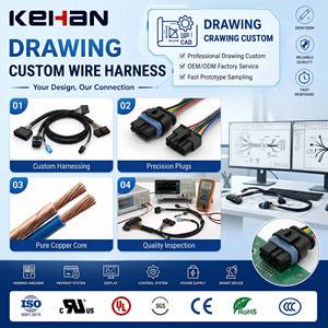 OEM Wire Harness Factory Professional For Drawing Customization Wire Harness Assembly