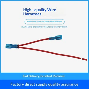 Customized Ultra-soft PVC Jacket Electronic Wire Harness Toy 100-220V Model 6954 High Temperature Connection Terminal Wire Wire