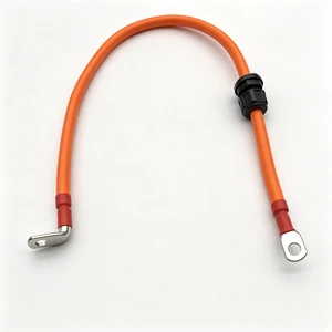 Industrial High Power 1 Core Tinned Copper Lug Terminal DC Power Cable Custom Wiring Harness for Energy Storage System