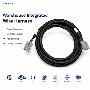 Custom BMS Sampling Wire Harness for Motorcycle & Automobile Energy Storage Voltage Temperature Collection Cable
