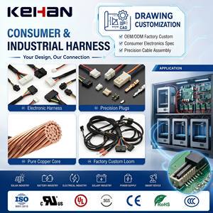 Custom Industrial Wiring Harness From China Factory for Consumer Electronics-OEM & ODM Cable Loom Manufacturer
