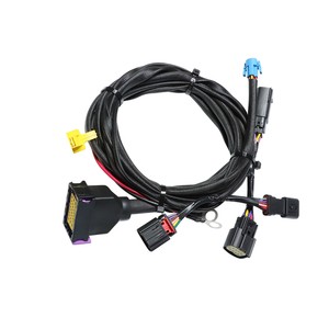 Custom New Energy Vehicle Automotive Wire Harness 24Pin Extension Cable OBD