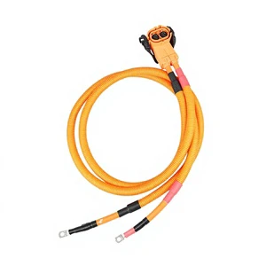 Customized New Energy High-Voltage Wiring Harness Automotive Internal Electrical Equipment Use Custom Wiring Harness Processing