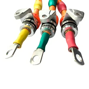 OEM ODM Customized High Temperature Resistance EV Cable High Voltage Power Wiring Harness Pump Motor Harness Bare Copper