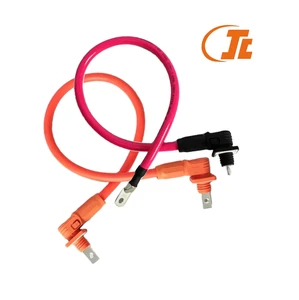 Solar Energy Storage Wiring Harness Electronic Accessory with Nylon Copper Terminals and Lithium Battery Cable Assembly