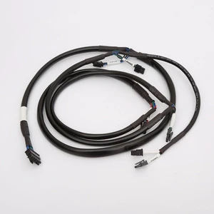 OEM Electrical Engine Wiring Harness and Cable Assembly Custom Automobile Wire Harness