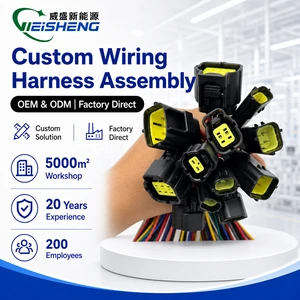 Automotive IP67 Waterproof PTFE/PVC Connector Wire Harness for Electronic Throttle Pedal and Oxygen O2 Sensor
