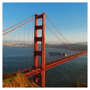 PE Adjustable Bridge Cable & Wire Rope High Vanadium China Manufacturer for Bridges & Buildings