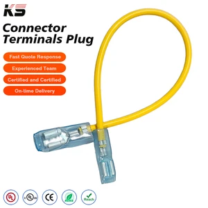 Custom Three Core Color Coded Pre Crimp Terminal Cable Assemblies Insulated Copper Wiring Harness for Electrical Equipment
