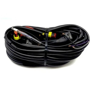 High Quality Custom Auto ECU Wiring Harness Cable Assembly for Car Automotive Vehicle with Complete CNG Kit Electrical Wire